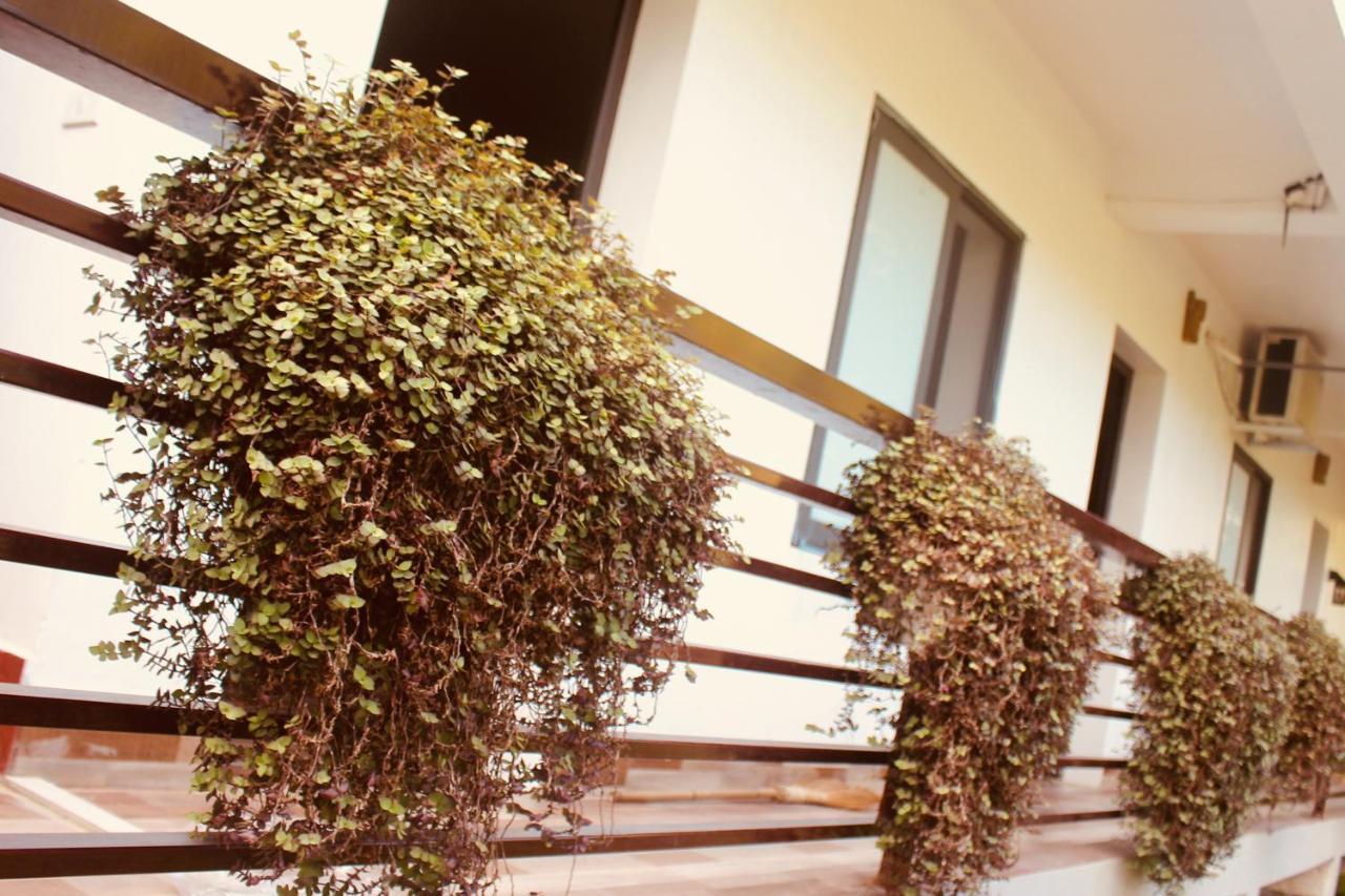 Ba Be EcoStay Hostel Bac Kan Exterior foto